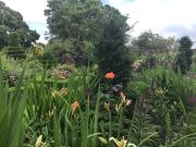 Historic converted byre in courtyard of 16C house