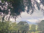 Top Near Sawrey Top Near Sawrey