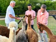 Nana Mac Chambre Dhôtes