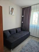 Top Braşov Top Braşov