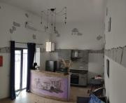 Quercus ilex A in the historic center