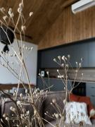 Top Prusim Top Prusim