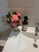 Top Osorno Top Osorno