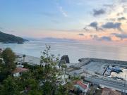 Top Palmi
