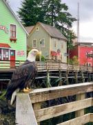 Top Ketchikan