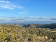 Top Leakey