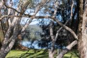 Top Burrill Lake