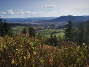 Top Ménil-de-Senones