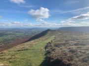 Top Hereford