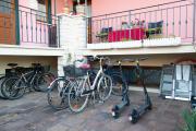 Top Umag