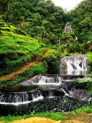 Top Santa Rosa de Cabal