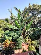 Top Mahabaleshwar