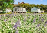 Merryfield And Sandfield Merryfield And Sandfield