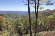 Top Bailey Camp