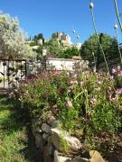Pause couleur Lavandula