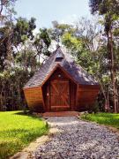 Diamante na Floresta