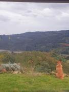 Top Couto de Esteves