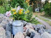 Top Mönsterås Top Mönsterås