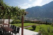 Top Kotor