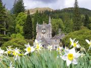 Ard Darach Lodge Ard Darach Lodge