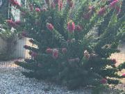 Top Santa-Lucia-di-Moriani