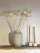 Top Passignano sul Trasimeno Top Passignano sul Trasimeno