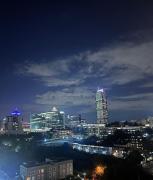 Opulent Sandton Apartment