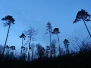 Top Marburg an der Lahn