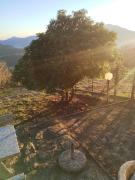 Top Ungiasca