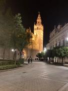 Top Seville Top Seville