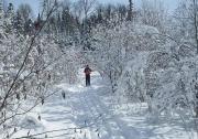 Top Thessalon
