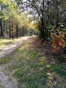 Top Putten Top Putten