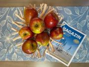 Top Sankt Peter-Ording