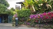 Top Chiang Mai