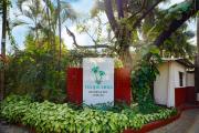 Top Alibaug