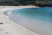 Sardinian Villa enjoy Stintino with your pets !