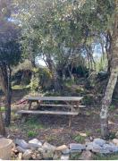 Top Causse-de-la-Selle