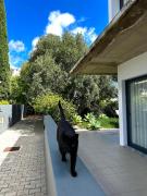 Top Porto Santo Top Porto Santo