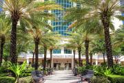 Top Tampa