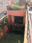 Top San Miguel de Allende