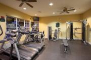 Top Orlando