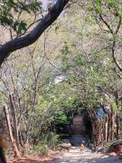 Top Santa Marta Top Santa Marta