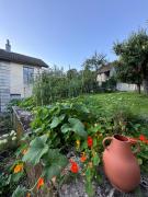 Top Salins-les-Bains