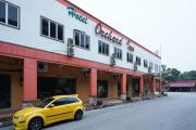Top Lumut