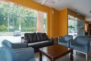 Top Lumut