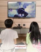 Cottonwood Yaputa Heated-Onsen Netflix Api-Unggun Karaoke PS4