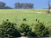 Top Plettenberg Bay Top Plettenberg Bay