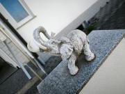 Ferienwohnung Elefanten