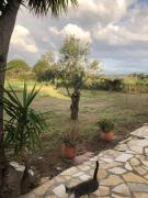 Top Kakóvatos Top Kakóvatos