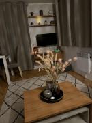 Kleine, gemütliche Ferienwohnung am Wattenmeer